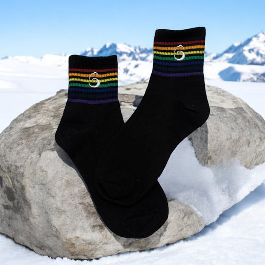 Chaussettes Rainbow black
